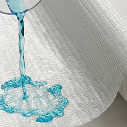 Rollo de papel precortado poli para mesa de exploración 53 cm x 30 mt