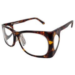 Collection image for: Proteccion radiologica