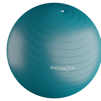 Pelota Ejercicio 65cm Azul
