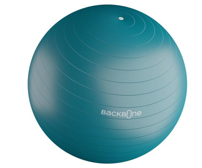 Pelota Ejercicio 65cm Azul