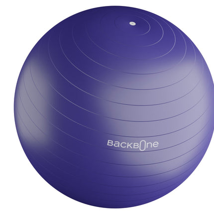 Pelota Ejercicio 75cm Morado