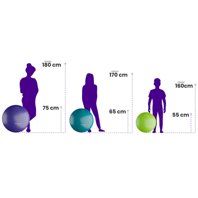 Pelota Ejercicio B-Ball BACKBONE®