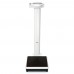 Bascula digital de columna para consultorio médico seca® 769